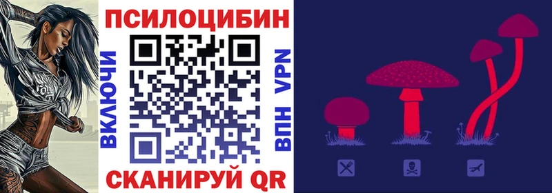 что такое наркотик  Каменск-Шахтинский  МЕГА маркетплейс  Псилоцибиновые грибы Cubensis 