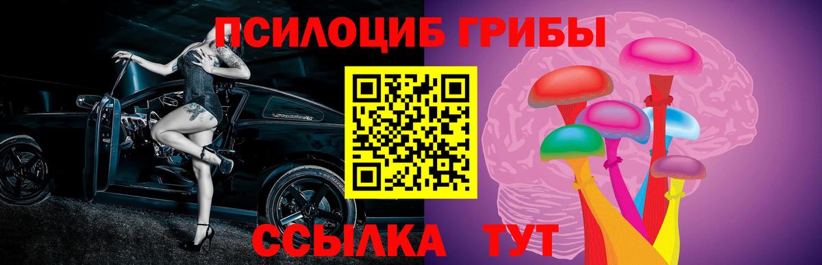 Галлюциногенные грибы Psilocybe  Вход с VPN  Псилоцибиновые грибы прущие грибы  Каменск-Шахтинский 
