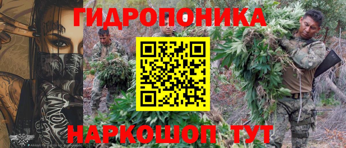 Канабис White Widow  Бошки Шишки сатива  Каменск-Шахтинский  МАРИХУАНА тримм  Вход с VPN 